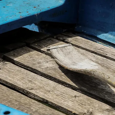 Fuzliget Surf Garden Lägenhet *