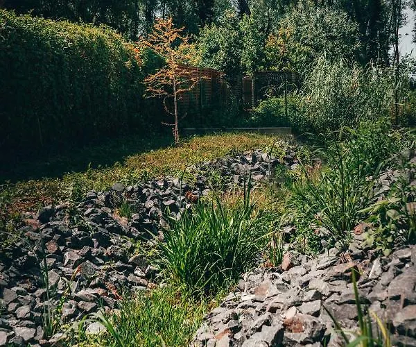 Fuzliget Surf Garden *