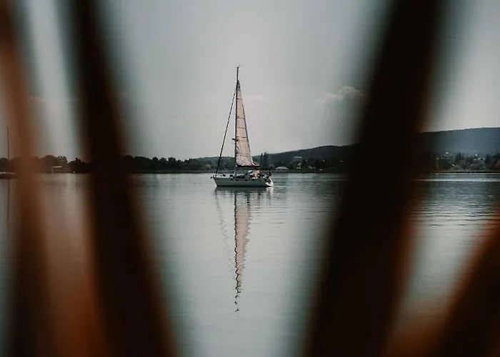 Fuzliget Surf Garden