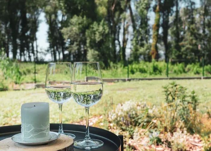 Fuzliget Surf Garden דירה